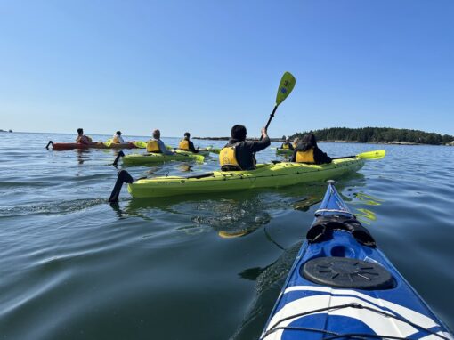 Pemaquid Harbor Kayaking Tour