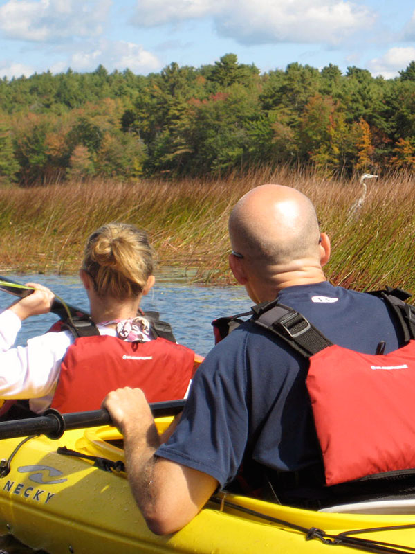 Lake Kayaking Wildlife Maine