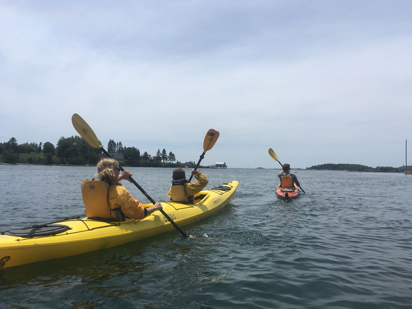 Maine Kayak Adventures