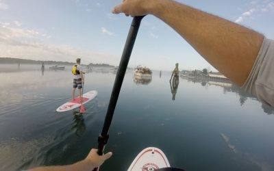 Stand Up Paddleboard Tours with Maine Kayak