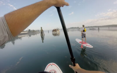 Stand Up Paddleboard Tours with Maine Kayak