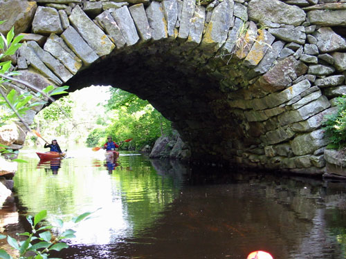 Lake Kayaking Half Day Trip