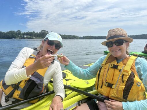 Oyster Kayak Tour