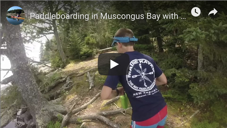 Paddleboarding in Muscongus Bay Maine