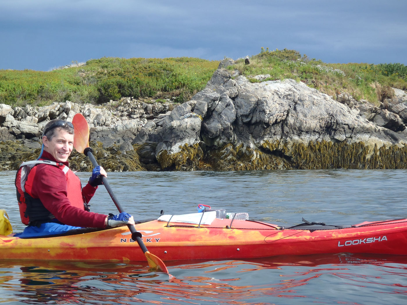 Sea Kayaking 2 Hour Wildlife Trips – $49