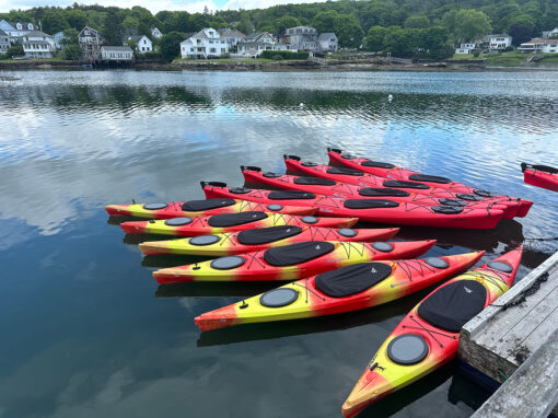 Boothbay Harbor Kayaking Tour